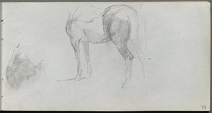 Skizzenbuch, Seite 73: Studie eines Pferdes, Profil