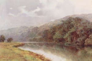 Themse: Cliveden Woods