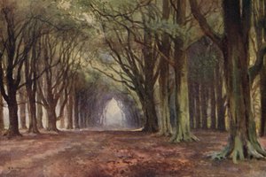 Die Buchenallee, Thoresby