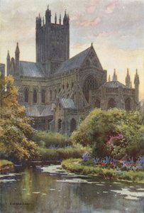 Wells Kathedrale von den Quellen