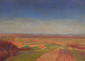 Marchfeld vom Bisamberg von Ernst Eck