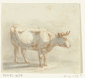 Stier stehend, nach rechts