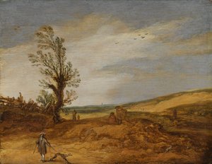 Ansicht in den Dünen