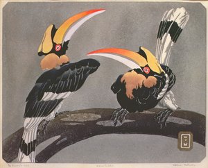 Nashornvögel, 1937