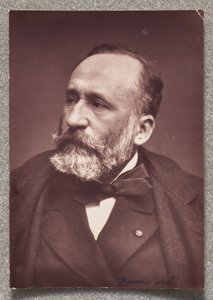 Puvis de Chavannes von Etienne Carjat