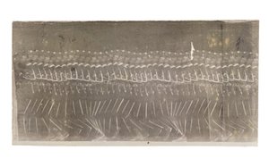 Mann geht, 1882 von Etienne Jules Marey