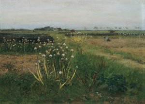 Blühendes Zwiebel-Feld von Eugen Jettel
