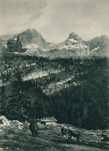 Blick auf die Brenta-Gruppe mit Almwiese, Madonna di Campiglio, Dolomiten, Italien von Eugen Poppel