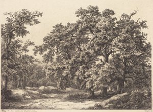 Eichen von Eugene Bléry