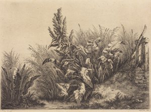 Wasser-Dock von Eugene Bléry