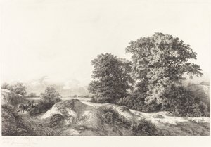 Eichen im Vaux de Cernay