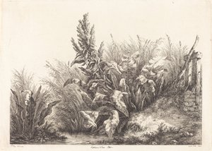 Geduld des Wassers, Studie