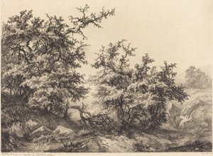 Dornbüsche, 1840