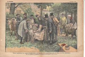 In Pouilly-le-Fort, auf Anfrage der Meluner Landwirtschaftsgesellschaft, testete Pasteur erfolgreich sein Milzbrandvirus an einer Herde von Schafen, Kühen und Ziegen., Le Pèlerin, 5/11/1922 von Eugene Damblans