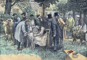 Louis Pasteur (1822-1895), französischer Biologe, experimentierte erfolgreich in Pouilly-le-Fort auf Anfrage der Landwirtschaftsgesellschaft von Melun mit seinem Milzbrandvirus an einer Herde von Schafen, Kühen und Ziegen. Zeichnung von Damblans. von Eugene Damblans