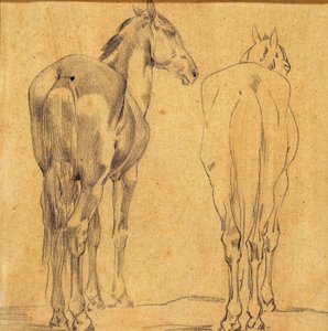 Studie von zwei Pferden von Eugène Fromentin