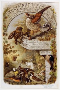 Frontispiz aus Naturgeschichte der Vögel, die in der Lombardei nisten von Eugenio and Dressler Oscar  Bettoni