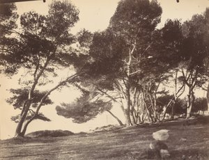 Cannes, Île Saint Honorat
