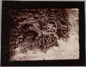 Hopfen von Eugène Atget