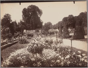 Saint-Cloud von Eugène Atget
