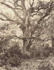 Près du Bodmer, 1860er Jahre