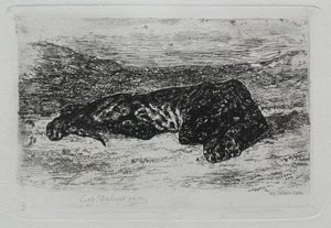 Kauernder Tiger in der Wüste