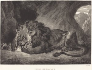 Löwe des Atlasgebirges (Löwe des Atlas) von Eugène Delacroix