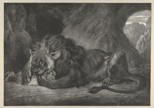 Löwe des Atlasgebirges von Eugène Delacroix