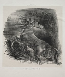 Das wilde Pferd oder erschrockenes Pferd verlässt das Wasser von Eugène Delacroix