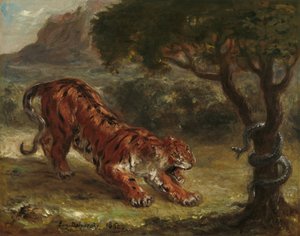 Tiger und Schlange