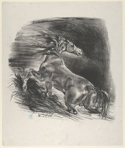 Wildes Pferd, 1828 von Eugène Delacroix