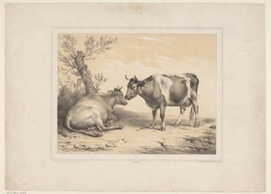 Zwei Kühe (Diverse zahme Tiere) (Treize sujets d
