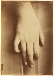 Studie einer Hand