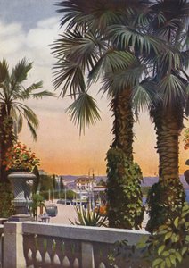 Abbazia, jetzt Opatija in Kroatien: Blick auf Palmen vom Hotel Bellevue