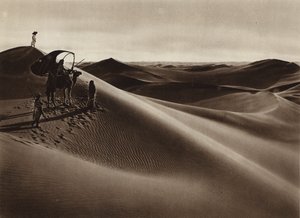 Dünen von European Photographer