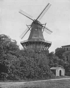 Die berühmte Windmühle in Potsdam