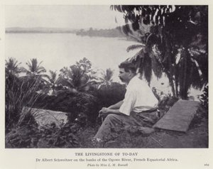 Der heutige Livingstone von European Photographer