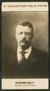 Theodore Roosevelt, Präsident der Vereinigten Staaten