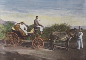 Kolonialwagen