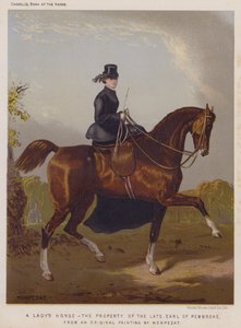 Das Pferd einer Dame, Eigentum des verstorbenen Earl of Pembroke