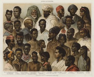 Afrikanische Rassen von European School