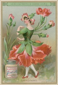 Nelkenblumenmädchen