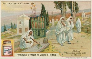 Friedhof in der Nähe von Blida in Algerien