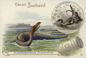 Elasmosaurus und Boa Constrictor