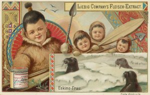 Eskimo von European School