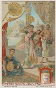 Fächer in Indien von European School