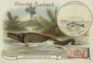Ichthyosaurier und Gemeiner Delfin