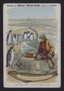 Das Konzert der Pinguine