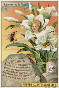 Lilie und Biene