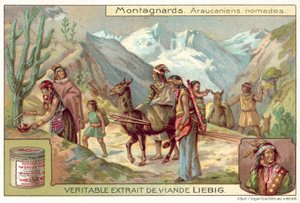 Mapuche-Nomaden